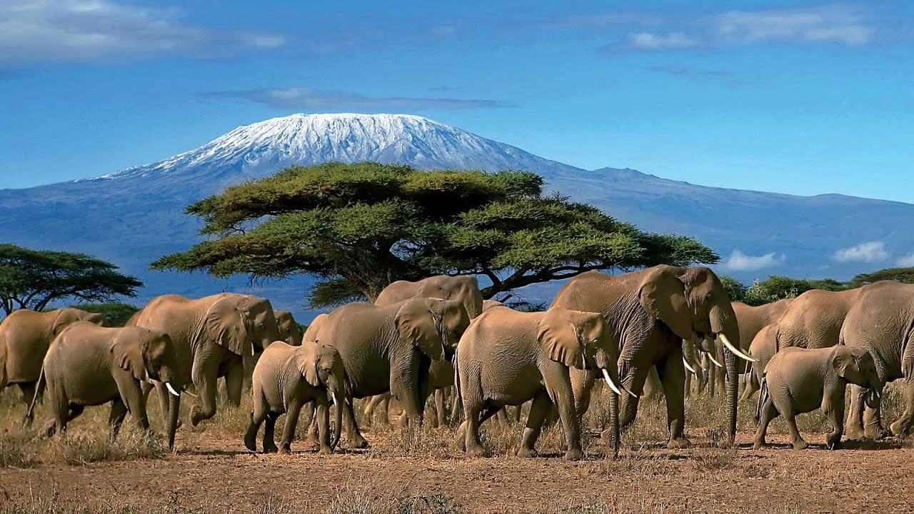 Viva uma experiência única: Viagem para o Berço da Humanidade, Moaropeng Africa do Sul. Conheça os melhores roteiros com nossos especialistas. Clique e saiba mais!