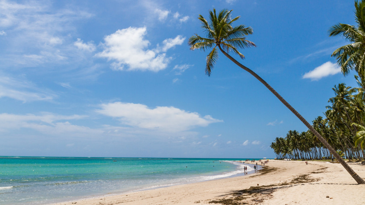Como ir para Praia dos Carneiros de Maceió