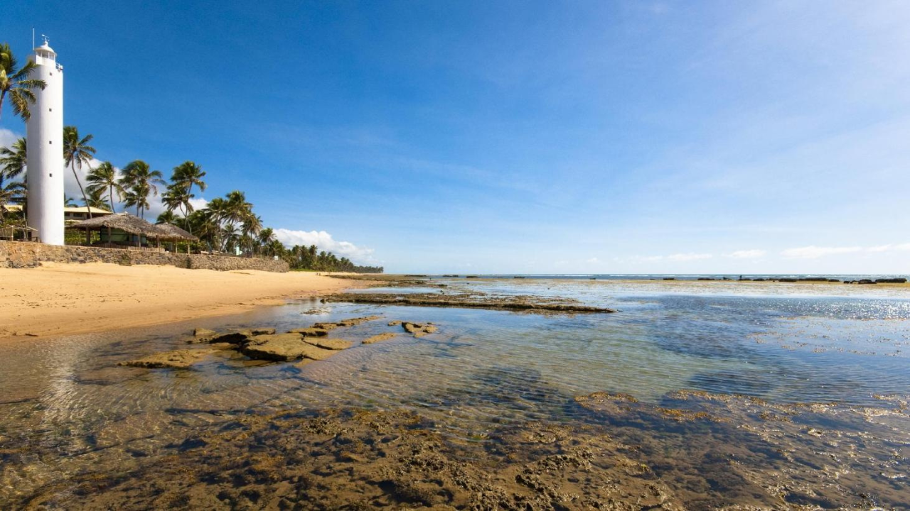 Onde fica praia do forte Bahia