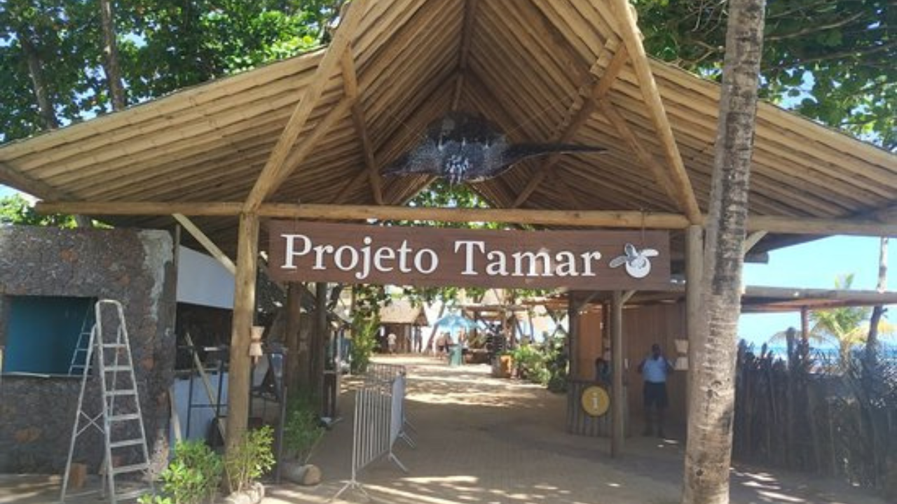 Projeto Tamar Praia do Forte