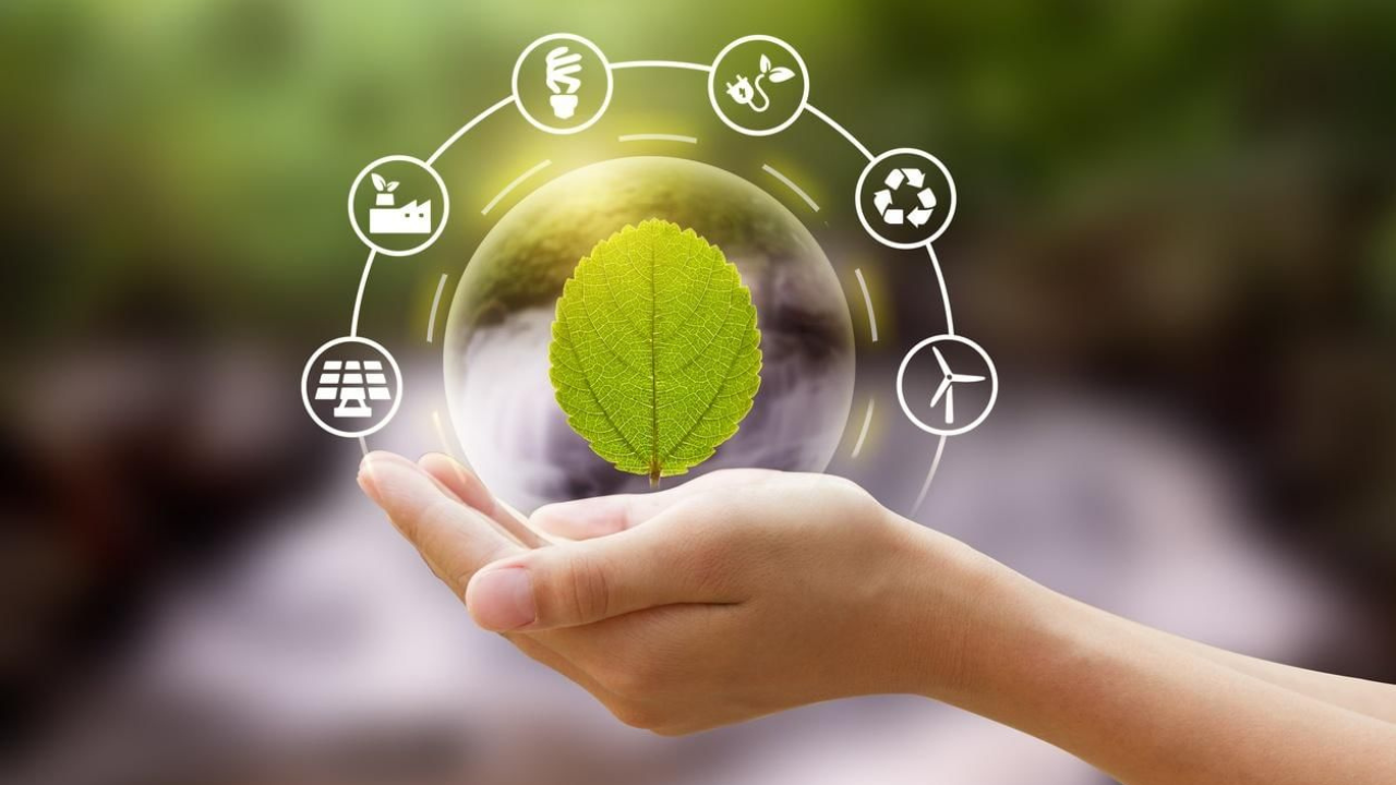 Aprenda a viajar com responsabilidade através do Turismo sustentável. Guia definitivo com informações práticas para uma viagem mais consciente.